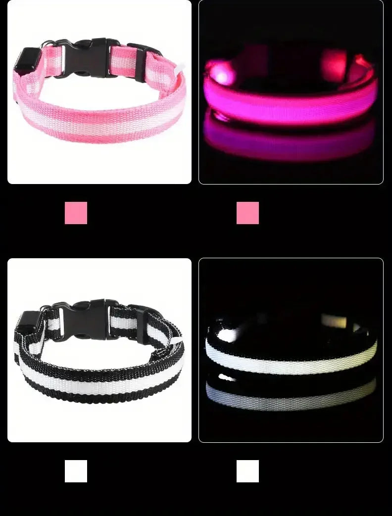 LED Glow-in-the-Dark Dog Collar & Leash – Night Safety Nylon Set
