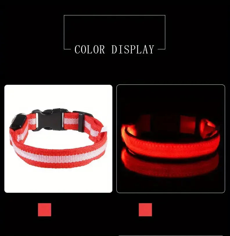 LED Glow-in-the-Dark Dog Collar & Leash – Night Safety Nylon Set