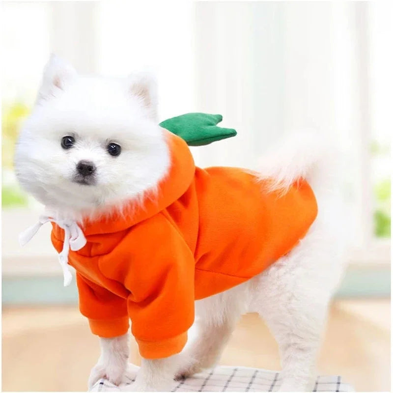Cute Fruit Fleece Dog Hoodie – Warm Pet Clothes for Small Dogs & Cats