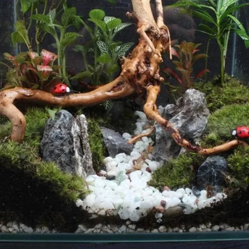 Natural Driftwood Root Aquarium & Reptile Tank Decor
