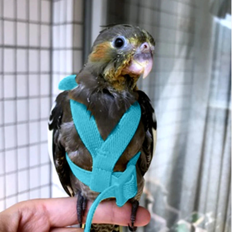 Parrot Flight Harness & Leash – Outdoor Training Suit for Budgies, Cockatiels & Macaws
