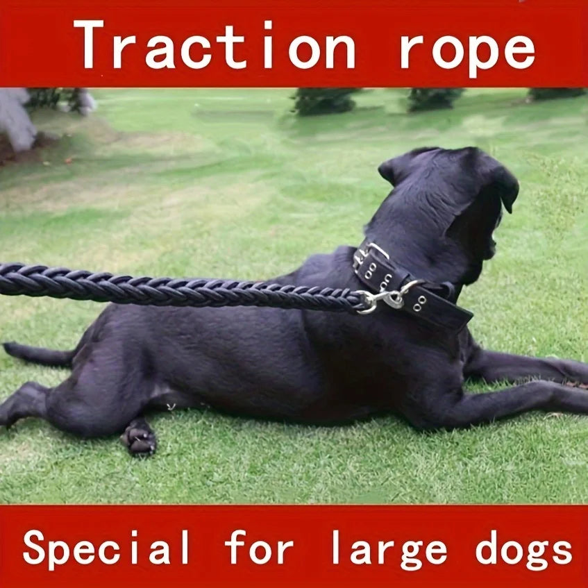 Comfort-Strong 5FT Braided Dog Leash for Training & Walks