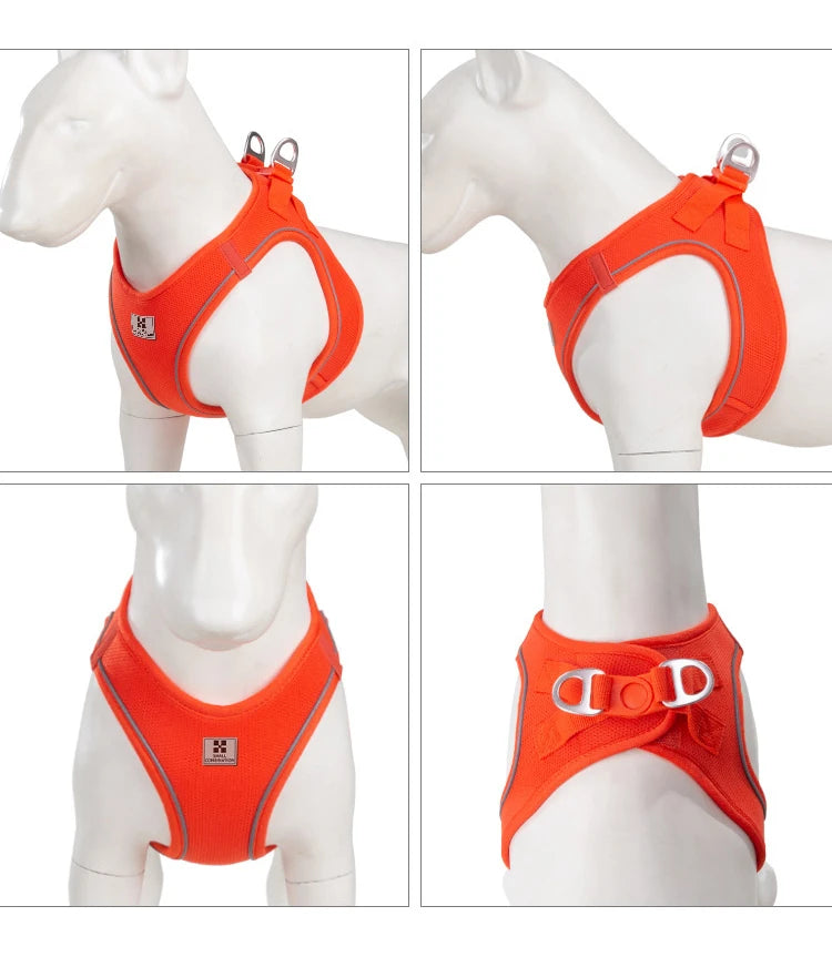 Reflective Dog Harness & Leash Set – Adjustable Pet Vest for Small & Medium Dogs