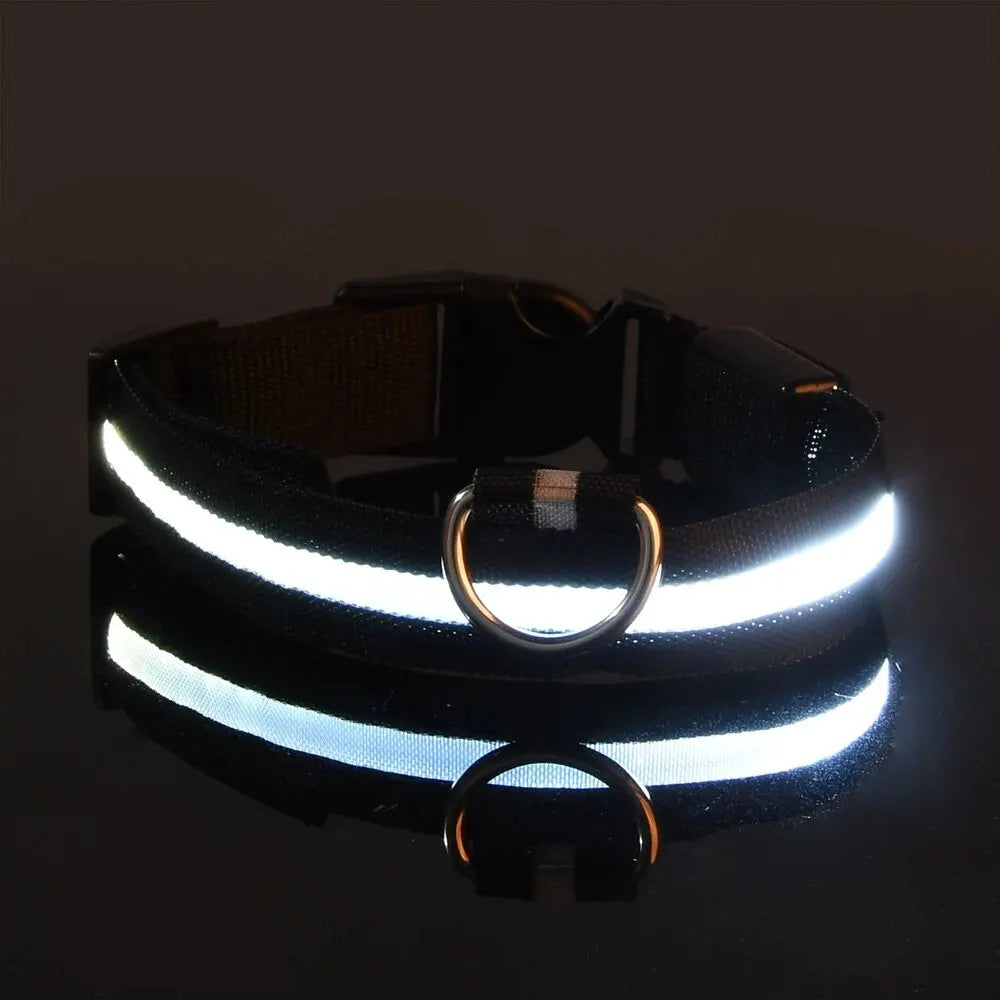 LED Glow-in-the-Dark Dog Collar & Leash – Night Safety Nylon Set