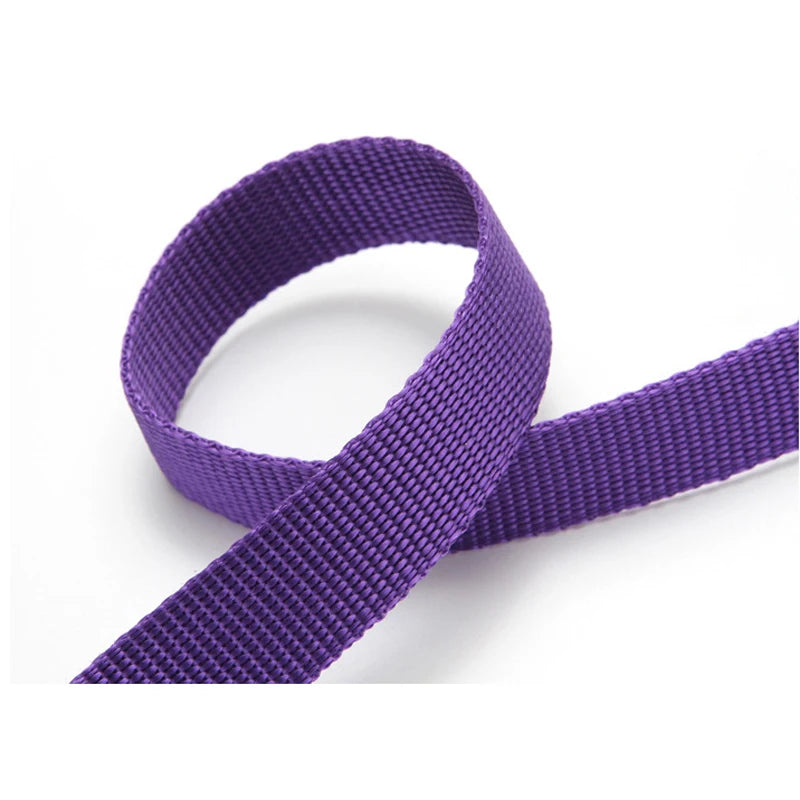 2-in-1 Adjustable Pet Car Seat Belt & Nylon Leash – Solid Color