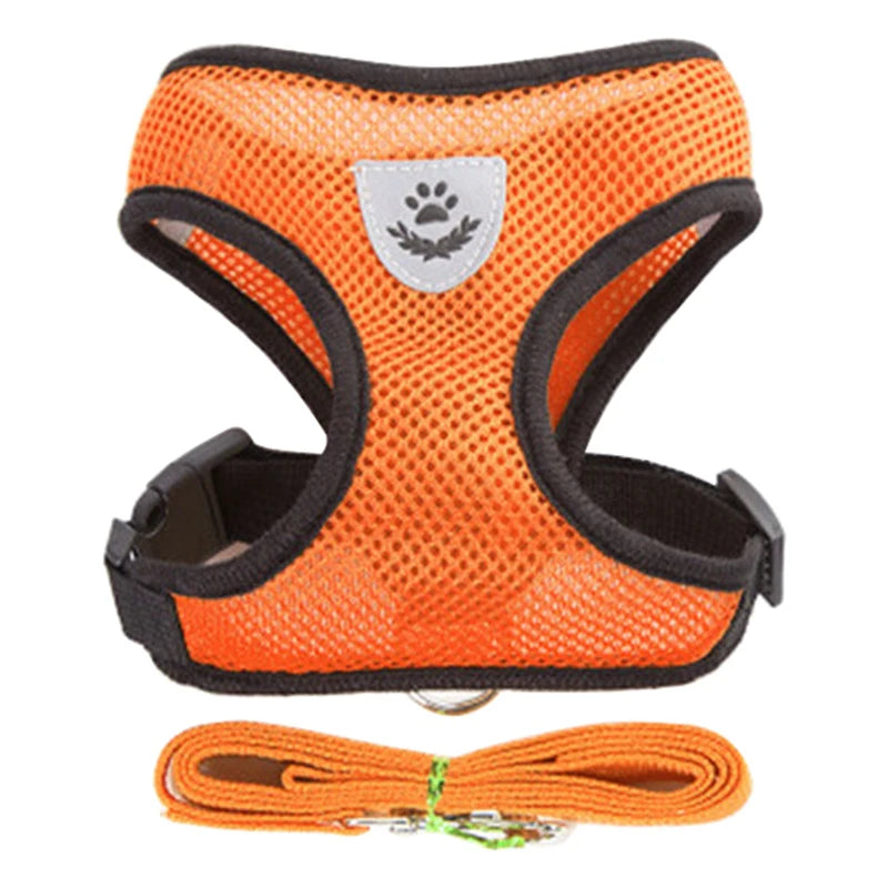 Adjustable Dog Harness & Leash Set – Breathable Vest for Small Dogs & Cats