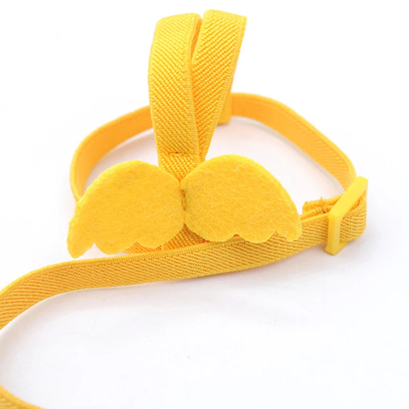 Parrot Flight Harness & Leash – Outdoor Training Suit for Budgies, Cockatiels & Macaws