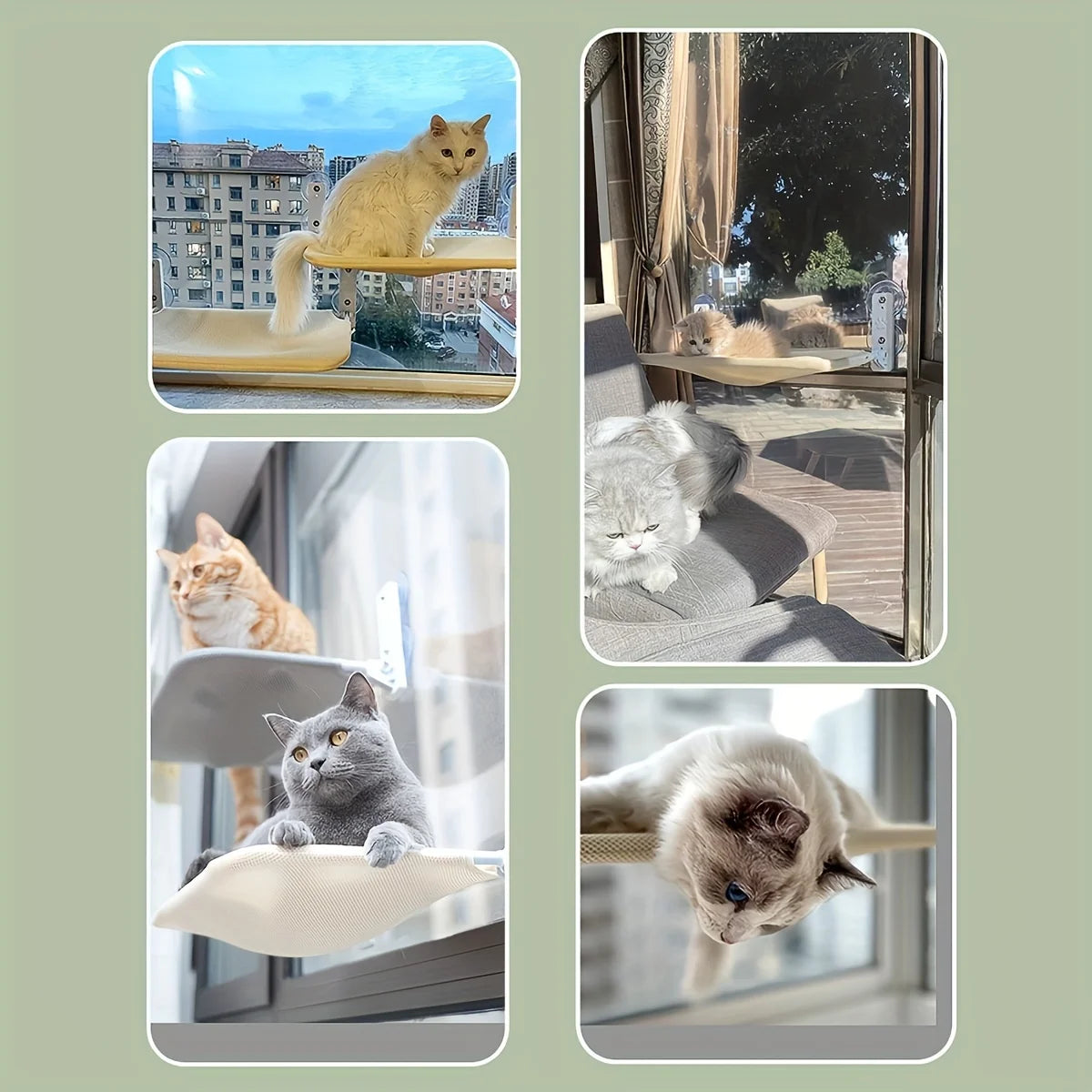 Cat Window Hammock Bed – Hanging Nest with Strong Suction Cups & Washable Mattress