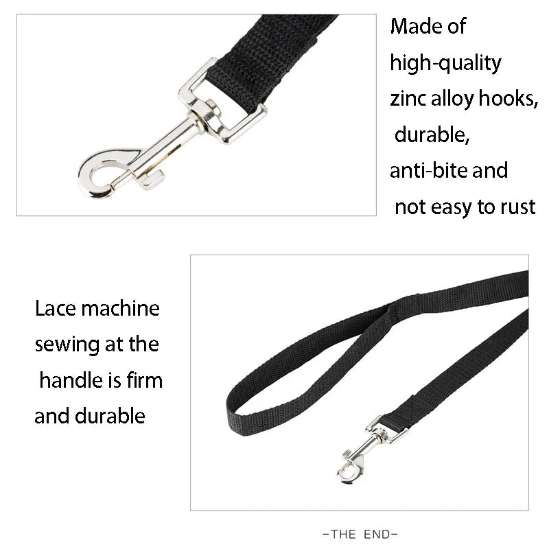 Long Dog Training Leash – Outdoor Running Lead for Small & Large Dogs