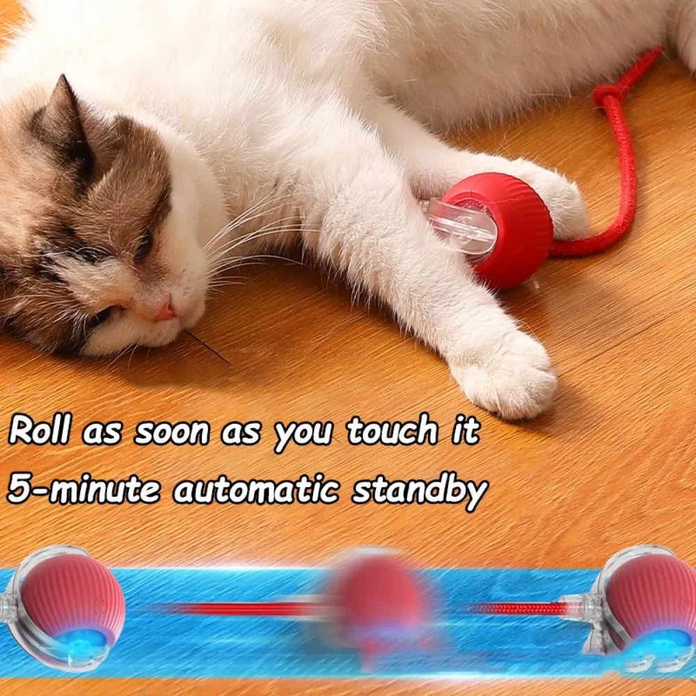 Rechargeable Smart Cat Ball Toy – Auto Rolling with Faux Tail, Imitates Mouse