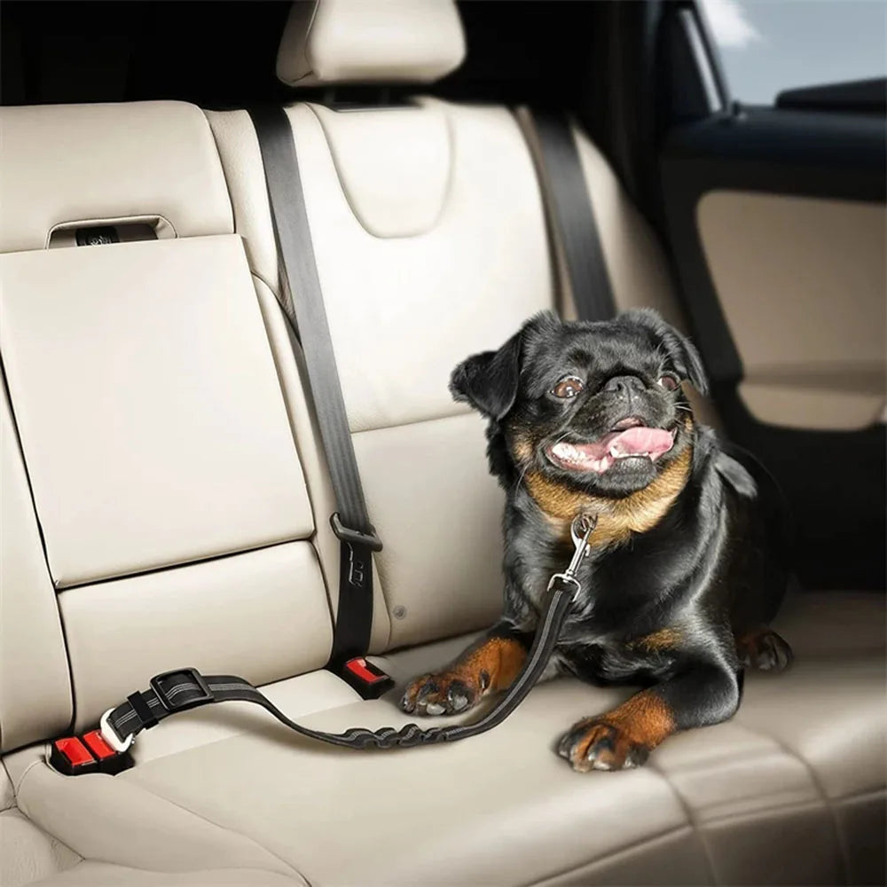 Adjustable Reflective Dog Car Seat Belt – Cushioned Elastic Travel Harness