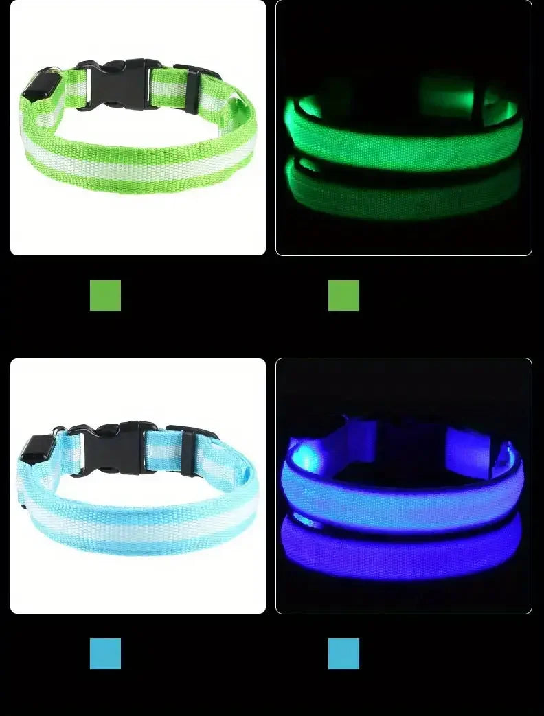 LED Glow-in-the-Dark Dog Collar & Leash – Night Safety Nylon Set