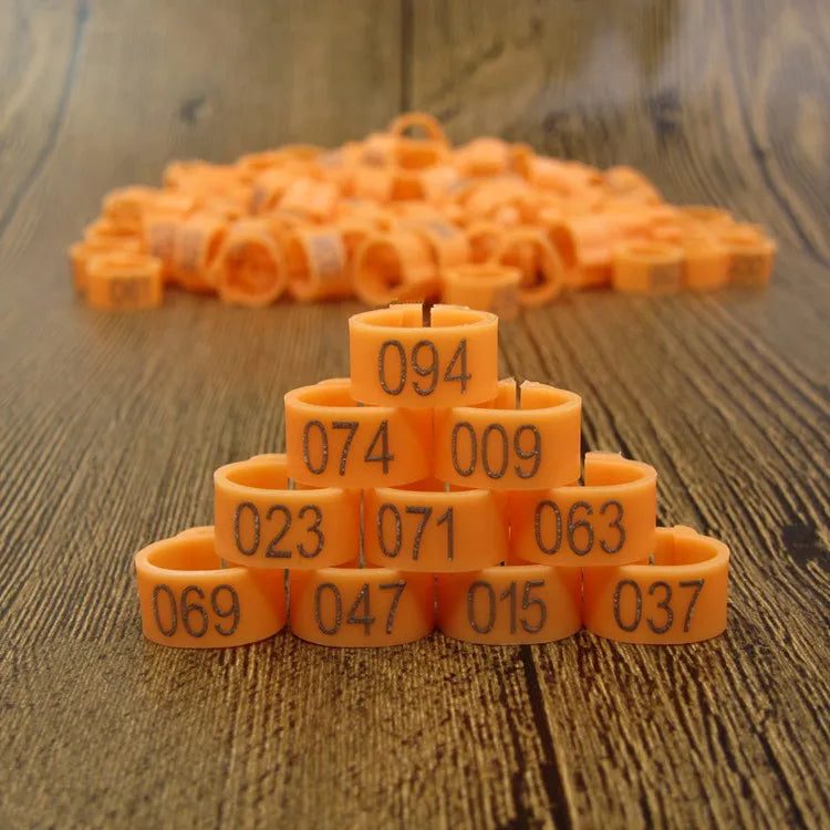 100pcs 8mm Bird ID Clip Rings – Numbered Plastic Leg Bands for Parrots & Pigeons