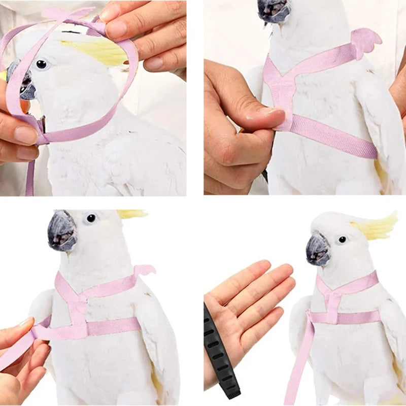 Parrot Flight Harness & Leash – Outdoor Training Suit for Budgies, Cockatiels & Macaws