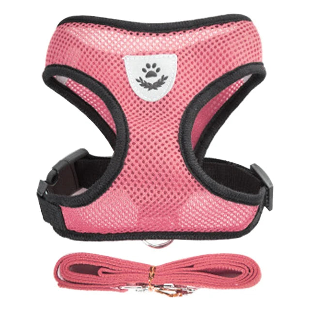 Adjustable Dog Harness & Leash Set – Breathable Vest for Small Dogs & Cats