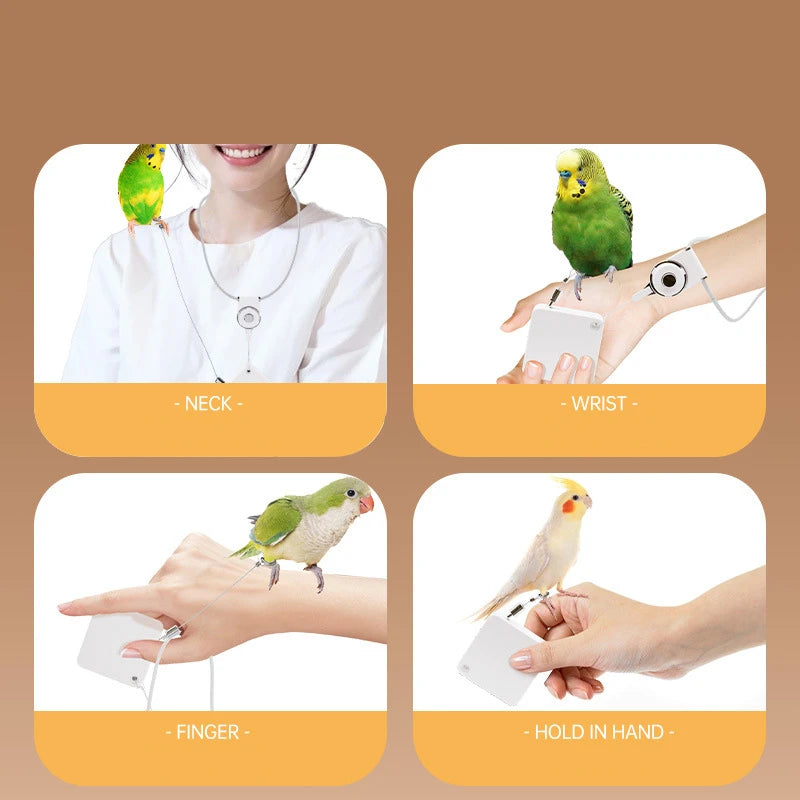 Parrot Training Leash with Auto Retractable Cord – Outdoor Flight Control Rope