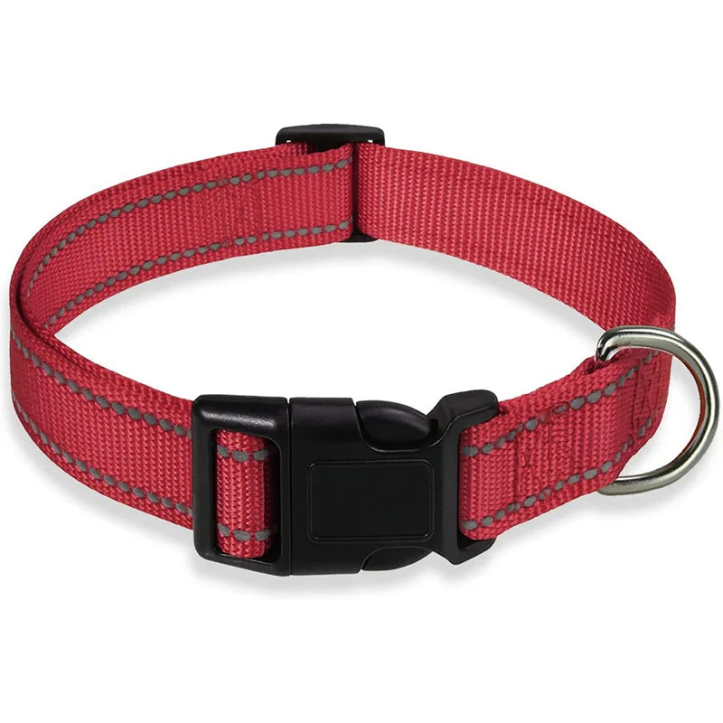 Reflective Adjustable Nylon Dog Collar for Small & Medium Pets