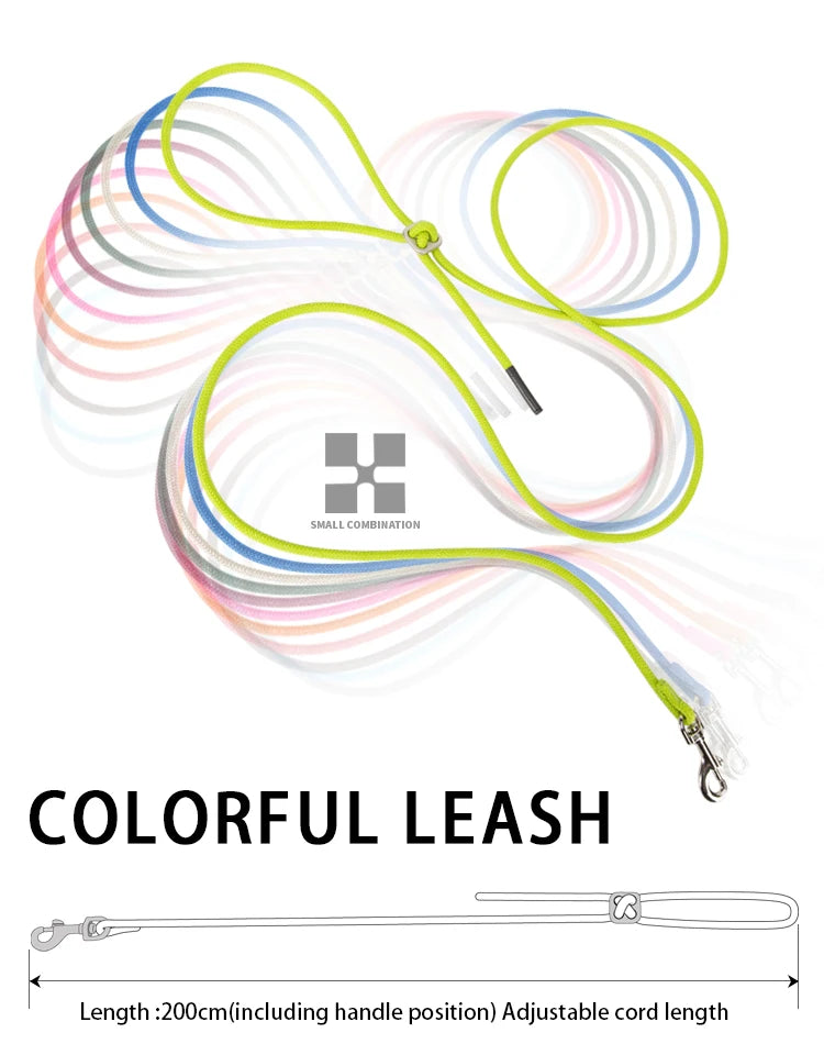 Reflective Dog Harness & Leash Set – Adjustable Pet Vest for Small & Medium Dogs