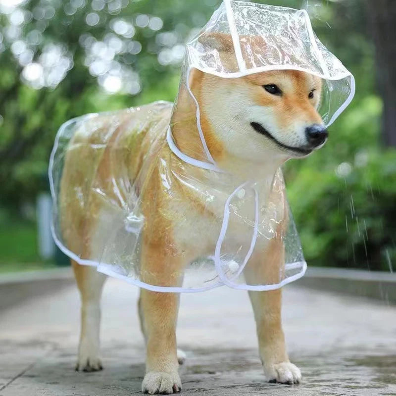 Transparent Dog Raincoat – Waterproof Hooded Jacket for Small Dogs & Puppies