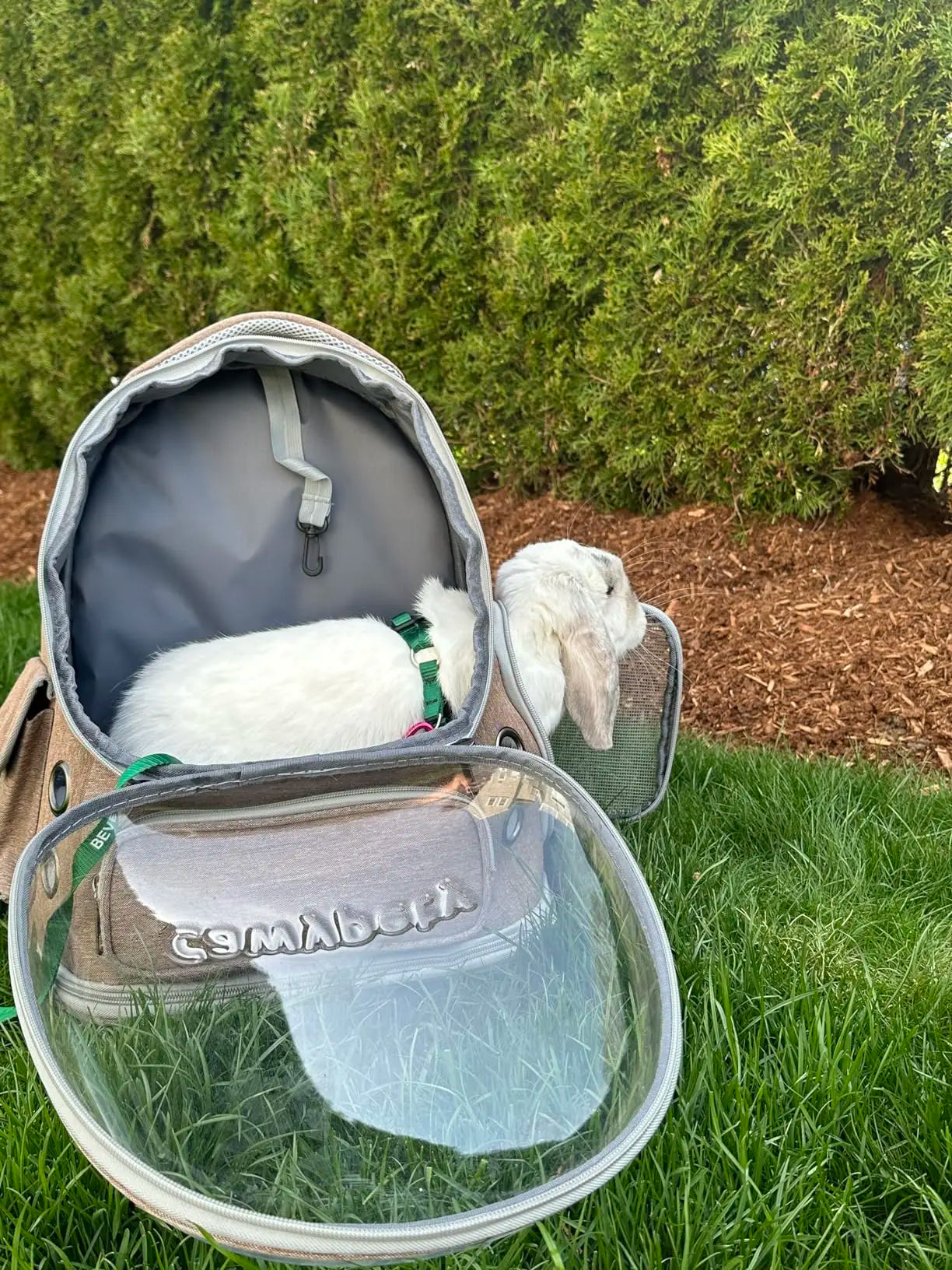 Transparent Folding Pet Carrier Backpack – Portable Travel Tote for Cats & Small Dogs