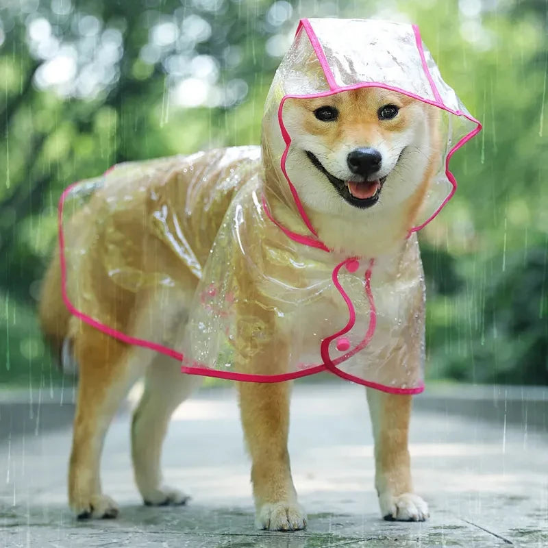 Transparent Dog Raincoat – Waterproof Hooded Jacket for Small Dogs & Puppies