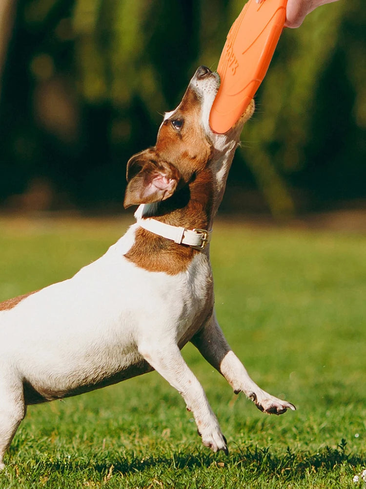 Dog Flying Disc Toy – Soft TPR, Bite-Resistant & Easy to Throw