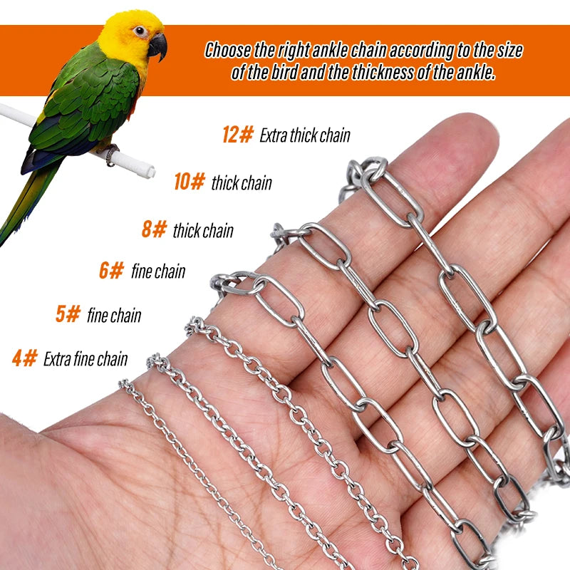 Parrot Leg Ring with Foot Chain – Bird Ankle Strap for Outdoor Flying & Training
