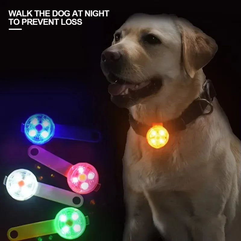 LED Safety Light Dog Collar – USB Rechargeable & Weatherproof for Pets