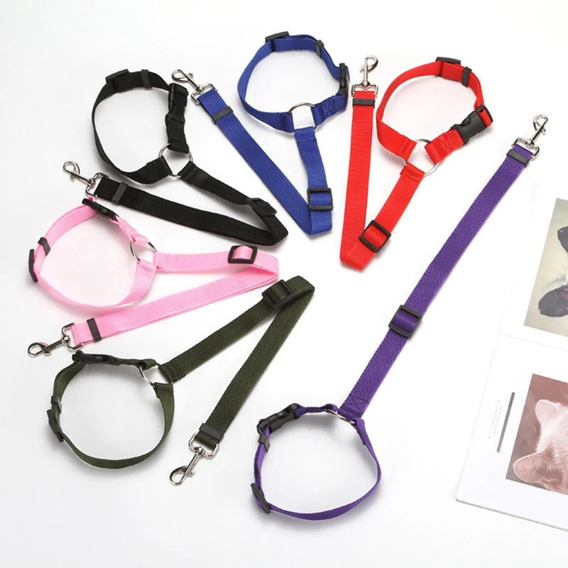 2-in-1 Adjustable Pet Car Seat Belt & Nylon Leash – Solid Color