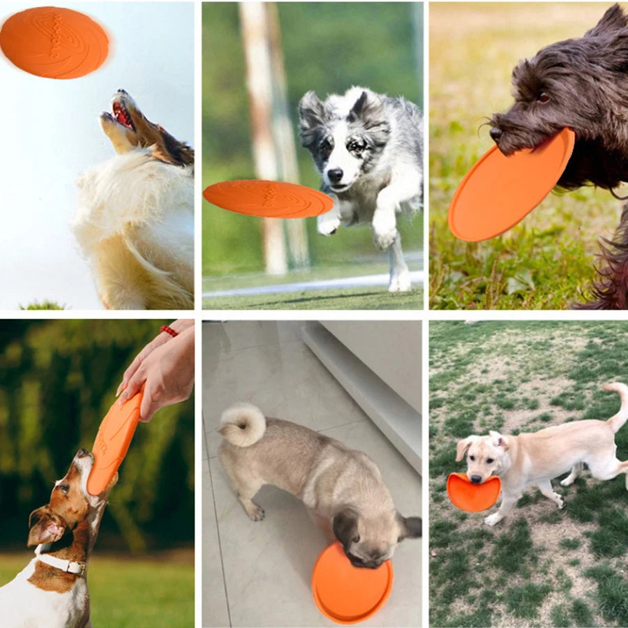 Dog Flying Disc Toy – Soft TPR, Bite-Resistant & Easy to Throw