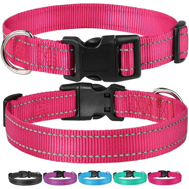 Reflective Adjustable Nylon Dog Collar for Small & Medium Pets