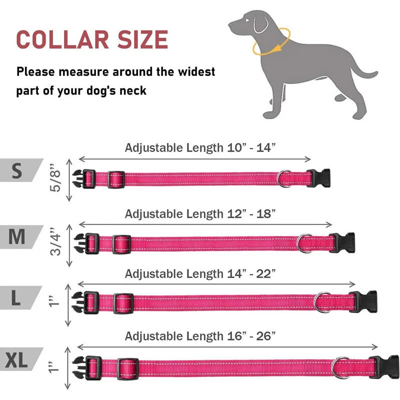 Reflective Adjustable Nylon Dog Collar for Small & Medium Pets