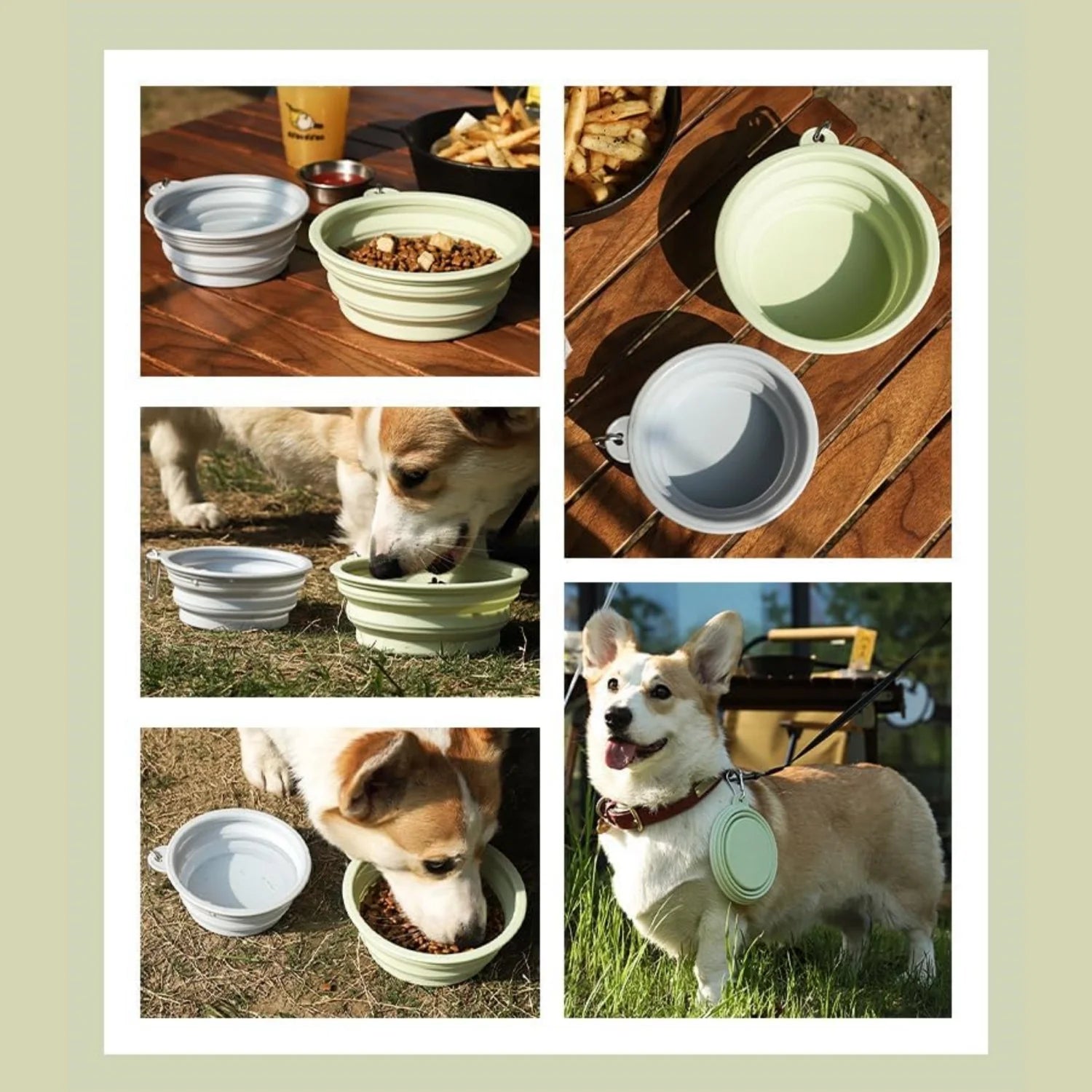 2PCS Collapsible Pet Bowls – Portable Silicone Food & Water Dishes with Carabiner