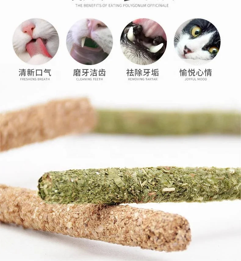 6pcs Natural Matatabi Cat Sticks – Silvervine Dental Chew Toys for Cats