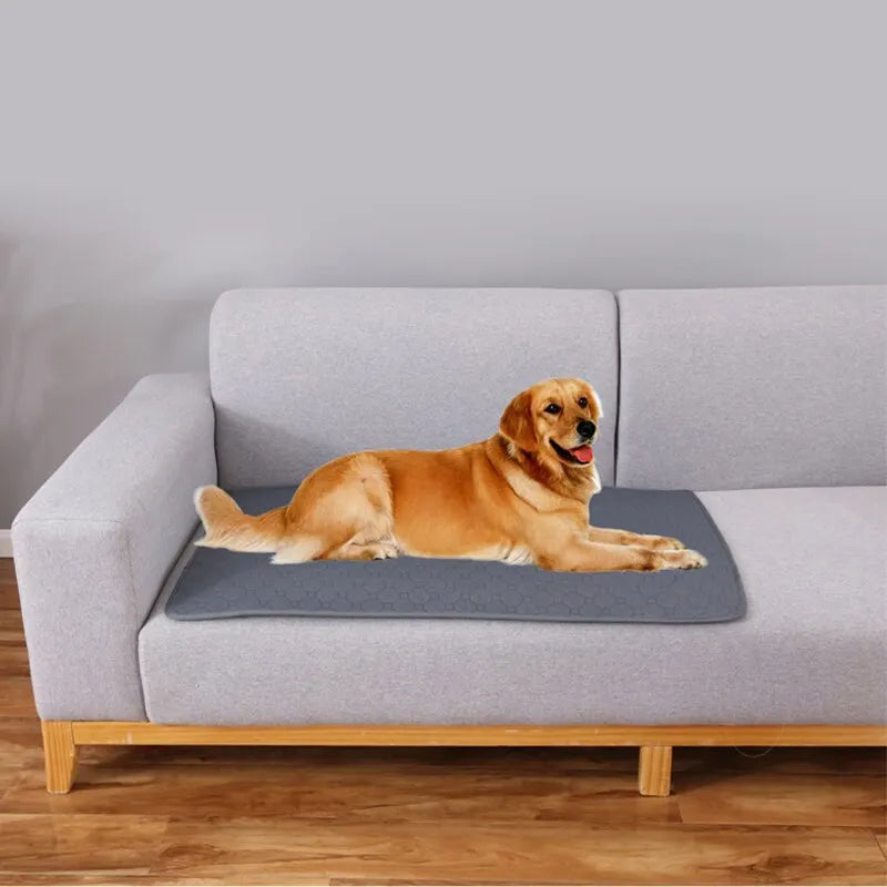 Washable Dog Training Pad – Reusable Non-Slip Pee Mat for Pets