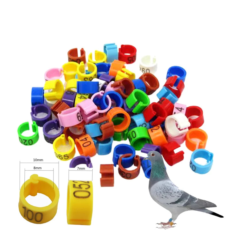 100pcs 8mm Bird ID Clip Rings – Numbered Plastic Leg Bands for Parrots & Pigeons