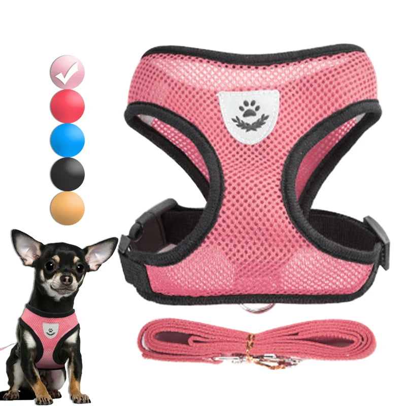 Adjustable Dog Harness & Leash Set – Breathable Vest for Small Dogs & Cats