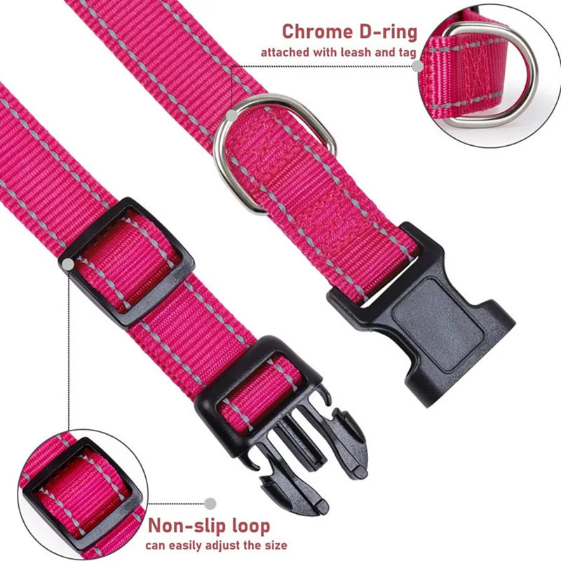 Reflective Adjustable Nylon Dog Collar for Small & Medium Pets