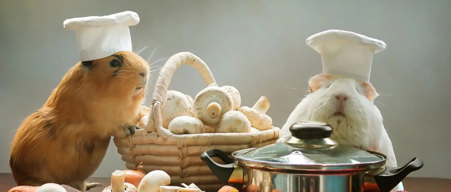 EVA Foam Pet Warming Pad – 30×30cm Soft Sleeping Mat for Small Animals