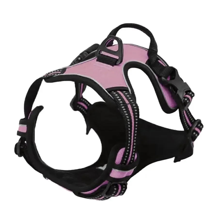 Leather Dog Harness & Leash Set for Small & Medium Dogs