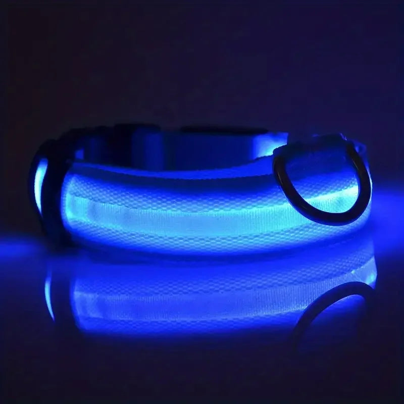 LED Glow-in-the-Dark Dog Collar & Leash – Night Safety Nylon Set