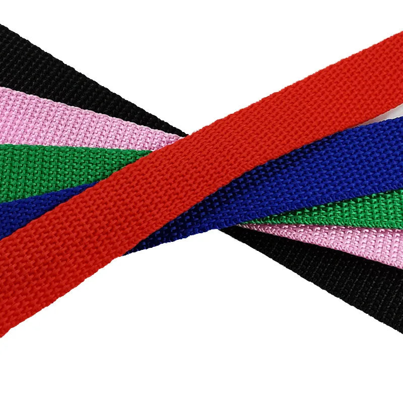 Long Dog Training Leash – Outdoor Running Lead for Small & Large Dogs