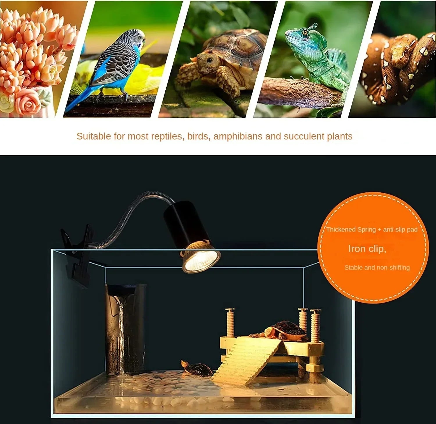 50W Reptile Heat Lamp with Adjustable Gooseneck & Bulb