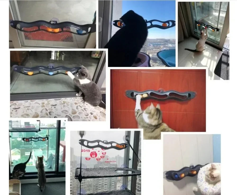 Suction Cup Cat Track Ball Toy – Window-Mounted Interactive Cat Toy