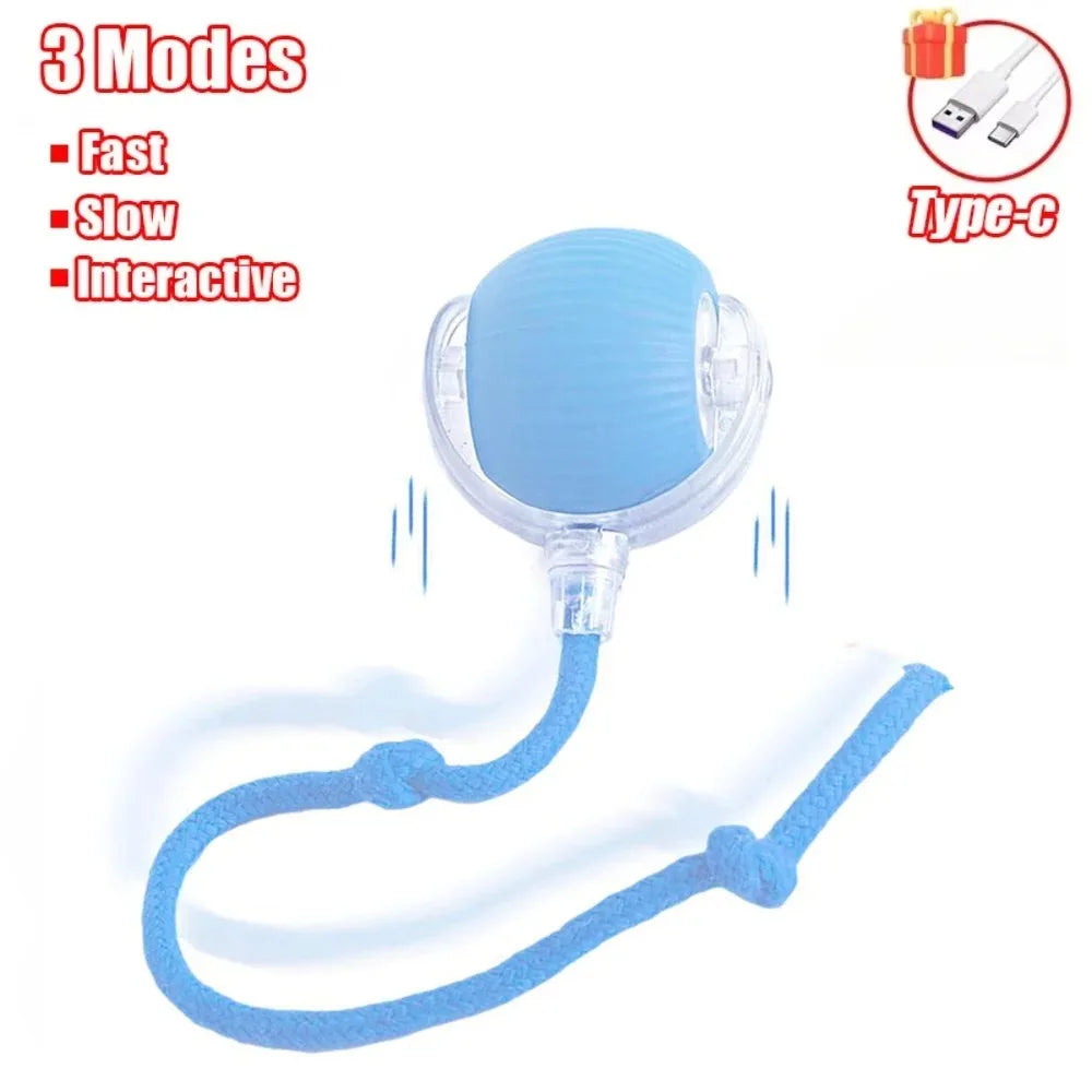 Rechargeable Smart Cat Ball Toy – Auto Rolling with Faux Tail, Imitates Mouse