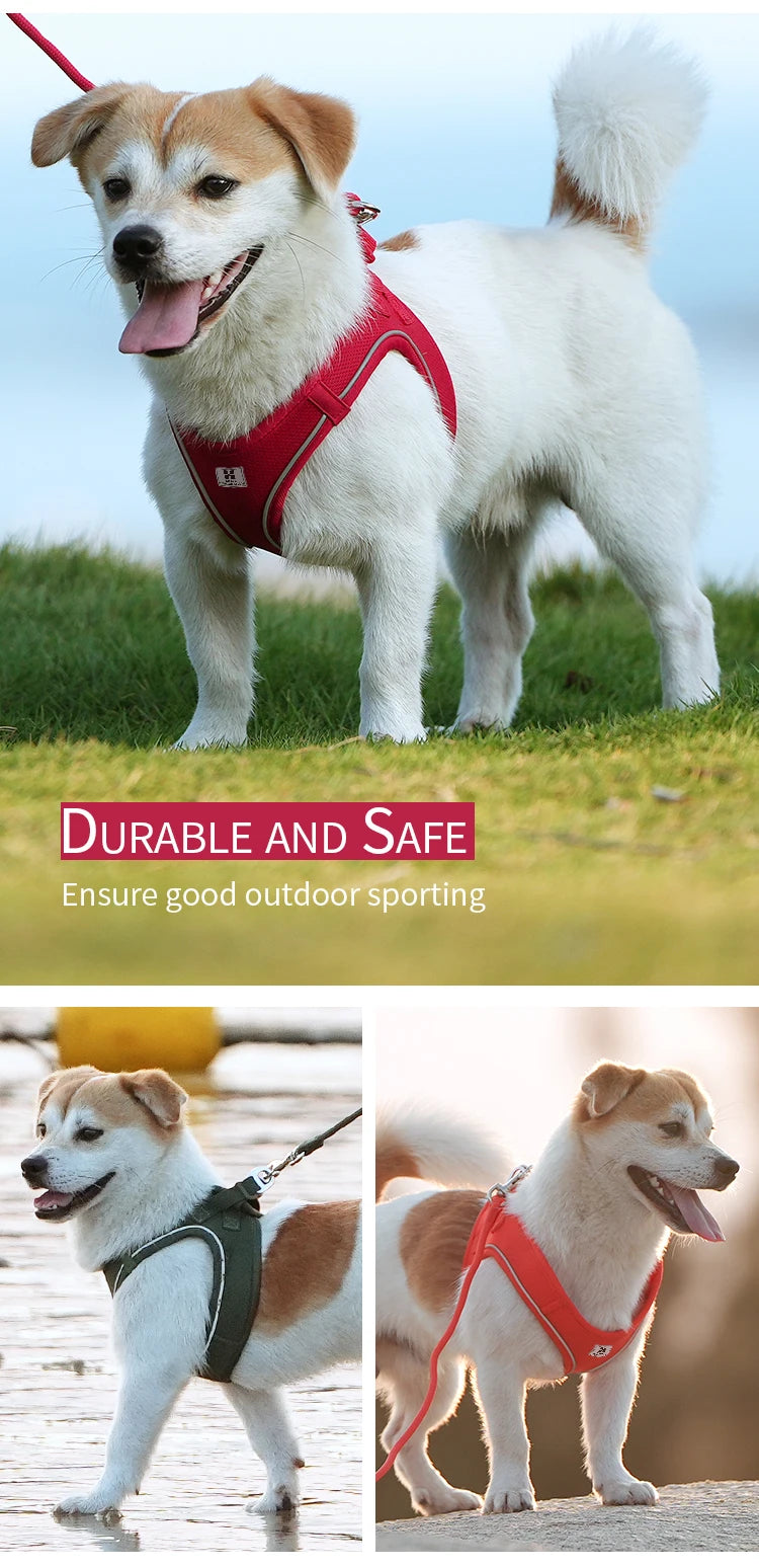 Reflective Dog Harness & Leash Set – Adjustable Pet Vest for Small & Medium Dogs