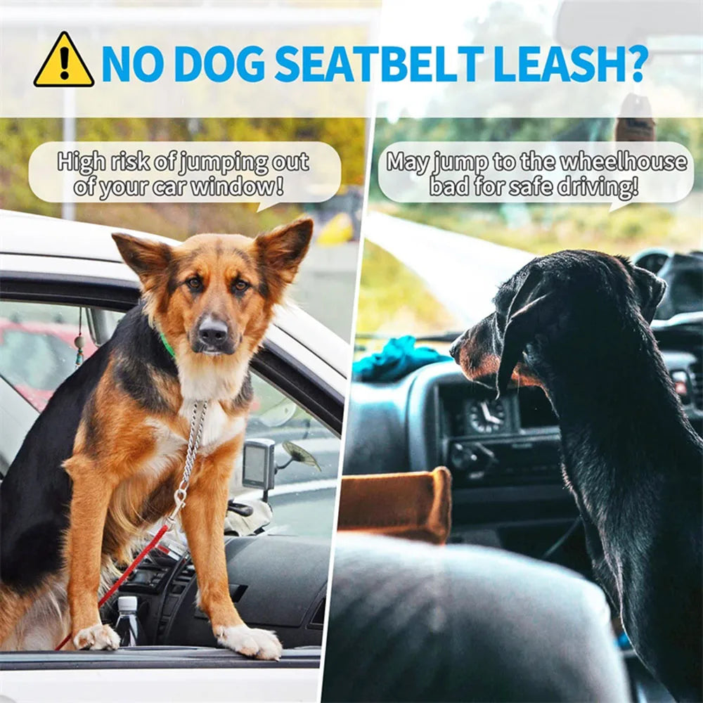 Adjustable Reflective Dog Car Seat Belt – Cushioned Elastic Travel Harness