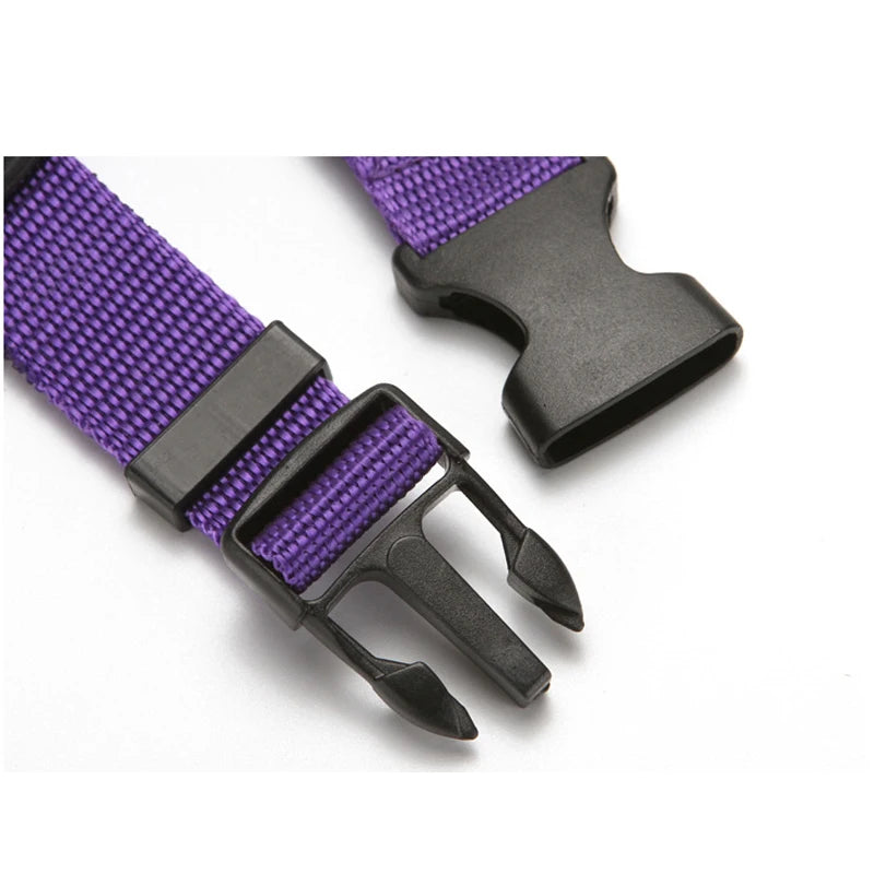 2-in-1 Adjustable Pet Car Seat Belt & Nylon Leash – Solid Color