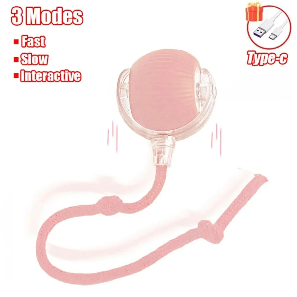 Rechargeable Smart Cat Ball Toy – Auto Rolling with Faux Tail, Imitates Mouse