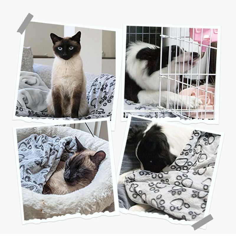 Soft Cartoon Pet Blanket – Fluffy Warm Bed Mat for Cats & Dogs